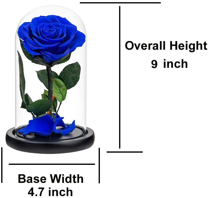 Preserved Real Rose in Glass Dome