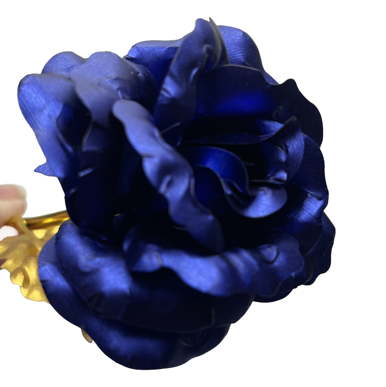 24 K Golden Foil Rose With Box Blue And Gold Plated