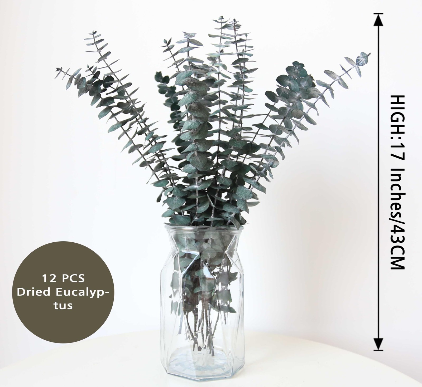 12 PCS Dried Eucalyptus Stems for Shower 17″ Real Leaves Branches for Vase Fi…