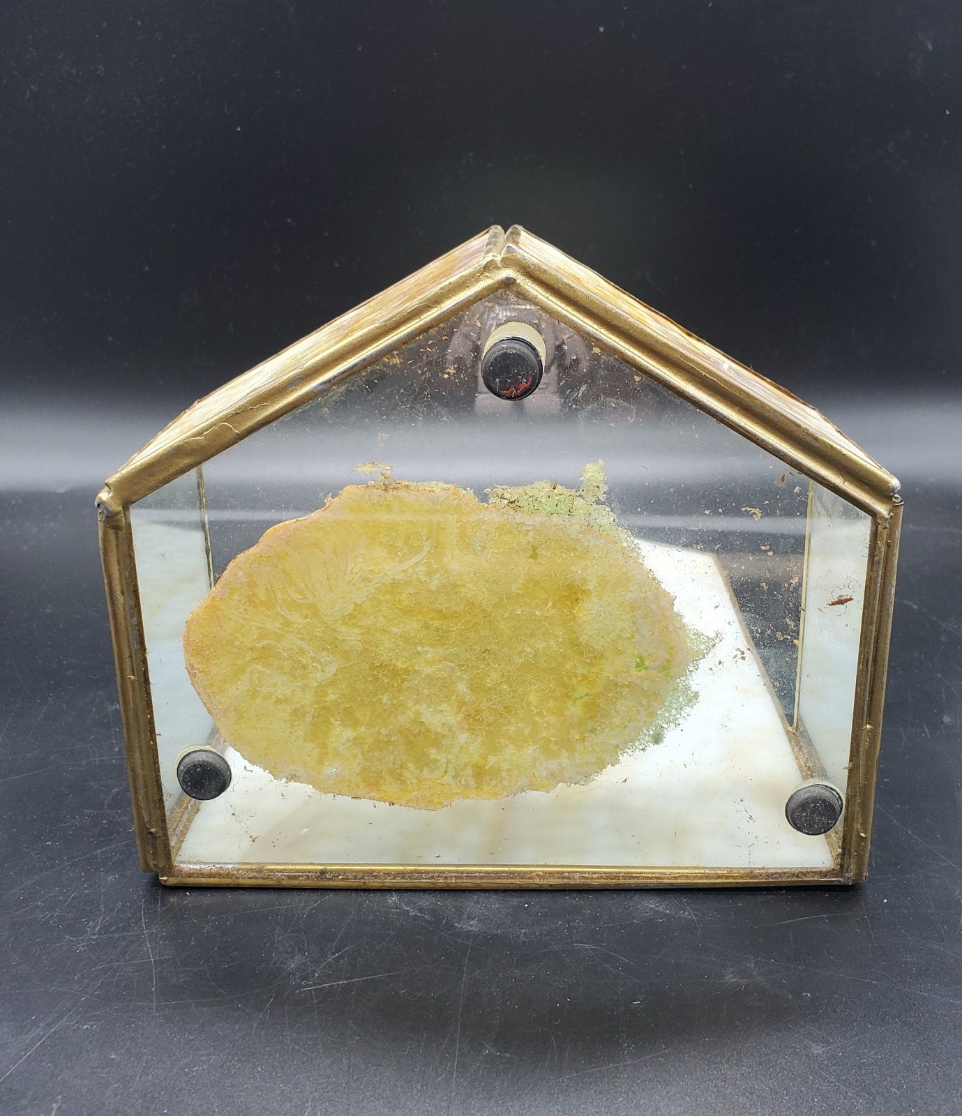 VTG STAINED SLAG GLASS TERRARIUM PLANT CANDLE DECOR MCM FREE STANDING READ***