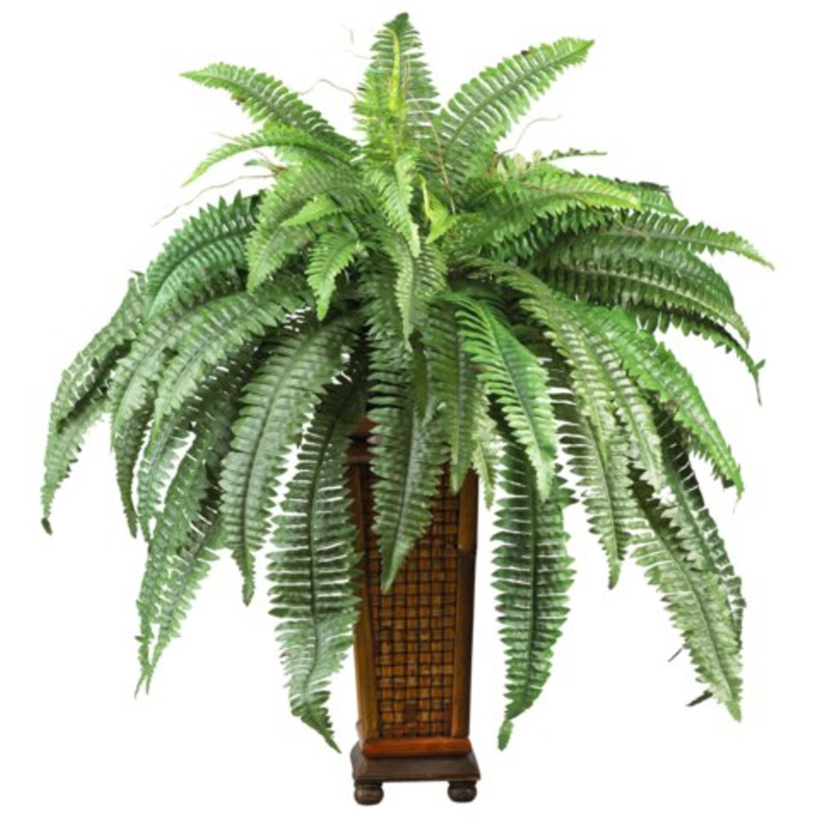 Decorative Natural Looking Artificial Asian Boston Fern Wood Vase Silk Plants