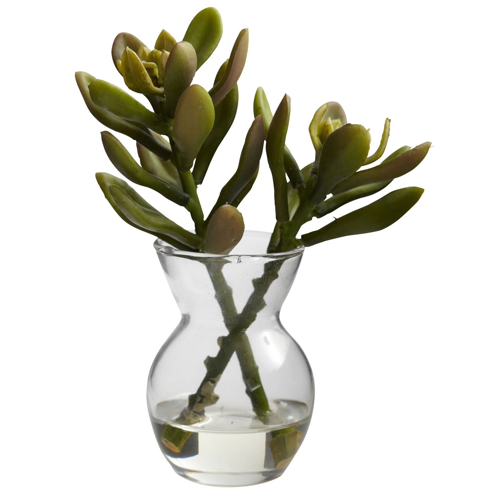5.5 Inch Succulent Arrangements Set of 3 Faux Plants in Mini Vases with Liquid