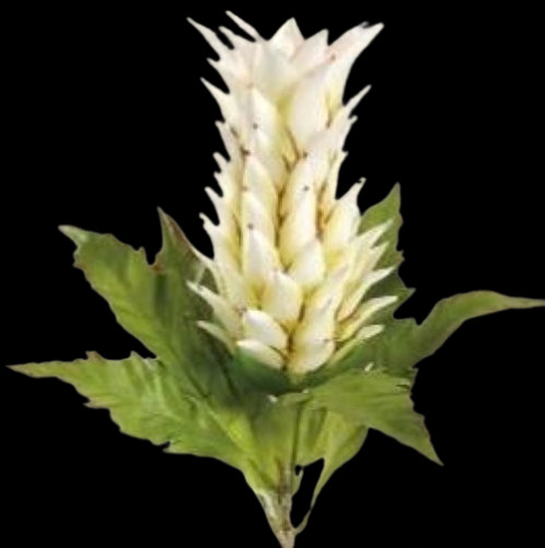 30″ Artificial Bromeliad stem