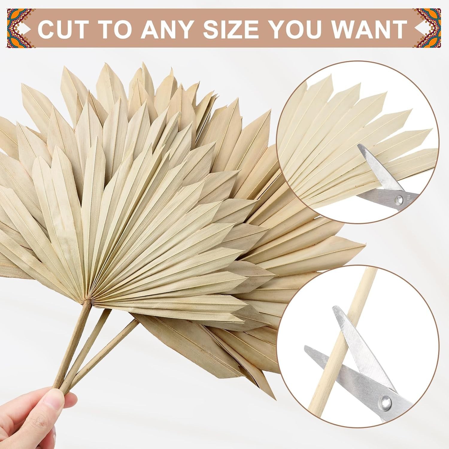 Natural Dried Palm Leaves Set of 20 – Ideal for Home Decor & Floral Arrangements