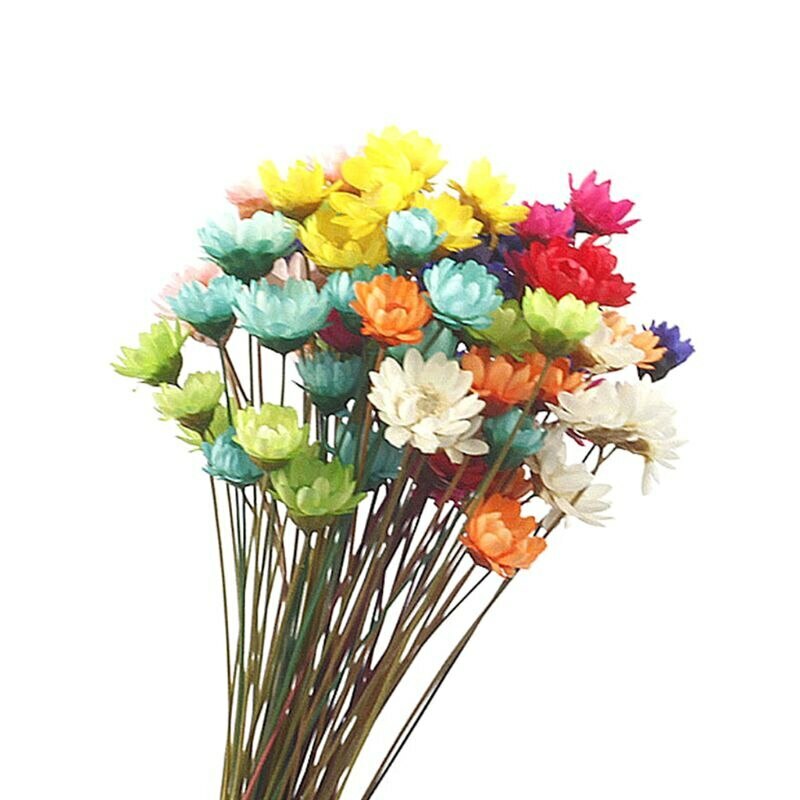 1 Pack Real Pressed Dried Flowers For Art Craft Resin Pendant Jewellery Making
