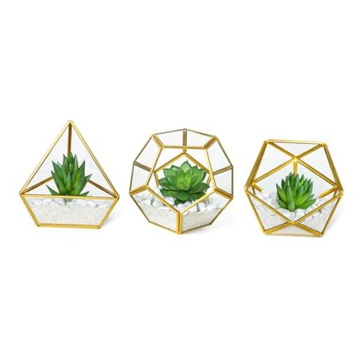 Artificial Succulent in 3 Pack Mini Glass Geometric Gold,green,clear