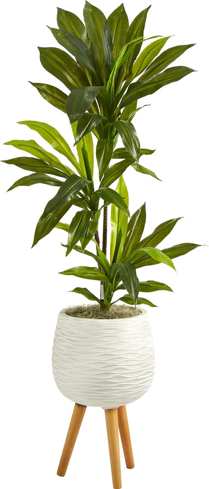 Real Touch 46″ Dracaena Artificial Plant in White Planter with Stand