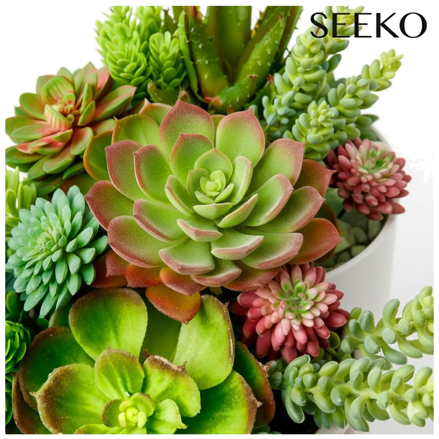 Realistic Fake Succulents Variety Pack