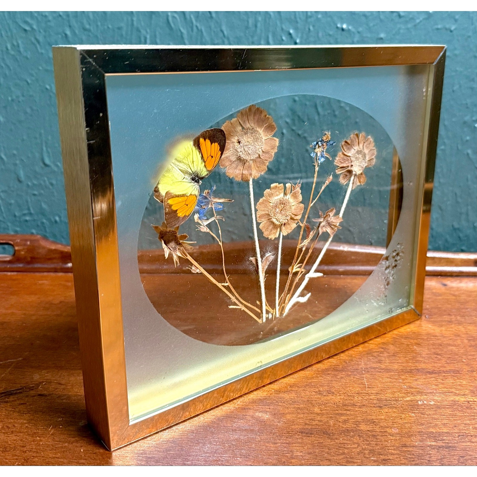 Butterfly Botanical Glass Frame 1980s Vintage Wall Decor