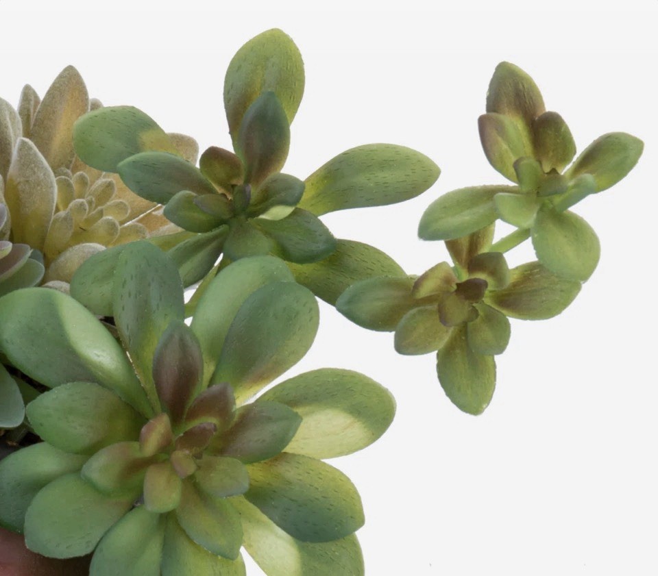 Primrue Benita 7″ Faux Succulent Plant in Cement Pot
