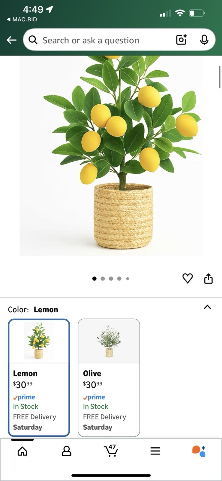 Lemon Tree/ Home Decor