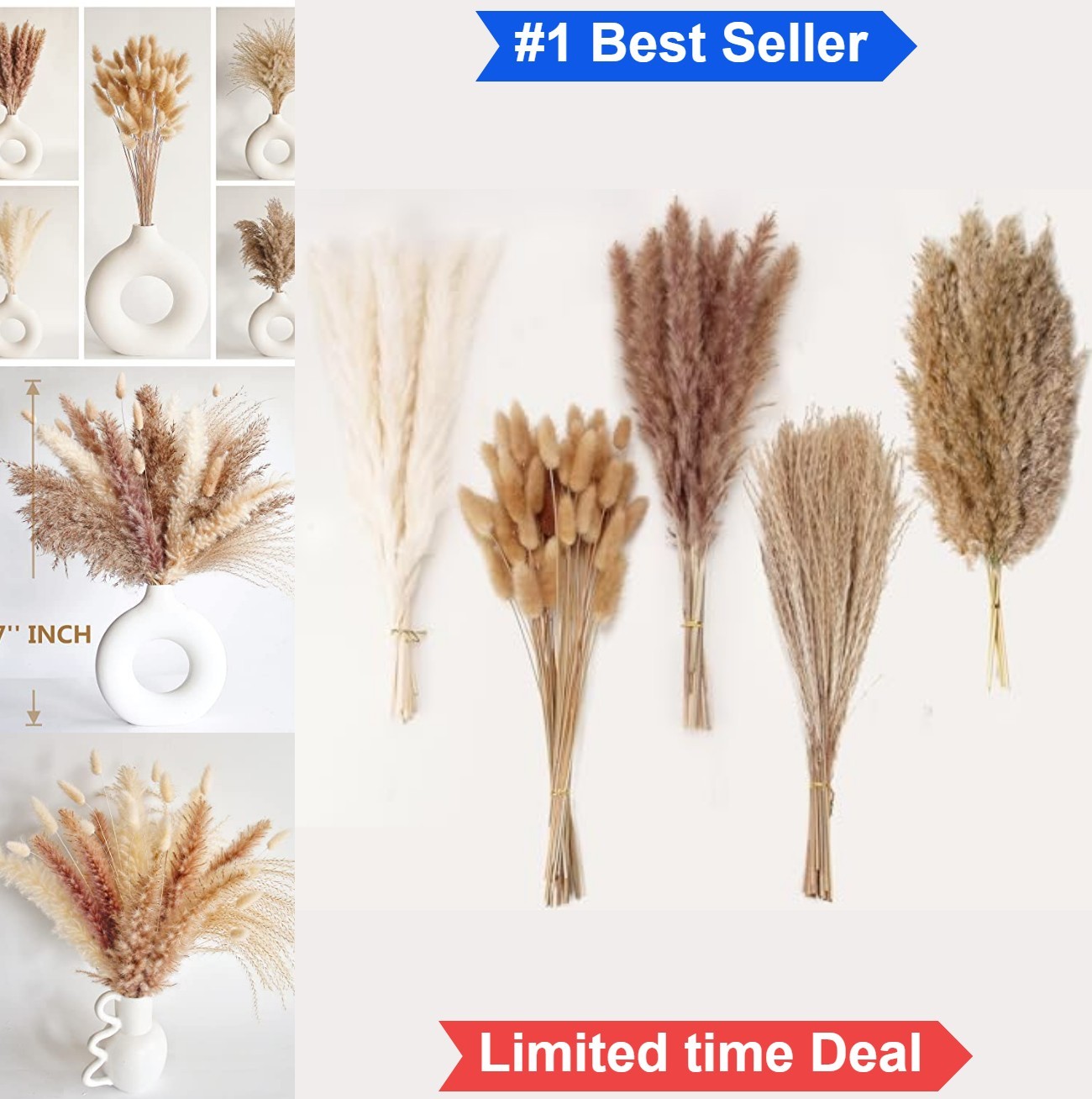 Natural Dried Pampas Grass Decor 110 Pieces White Bunny Tails Fluffy Boho Indoor