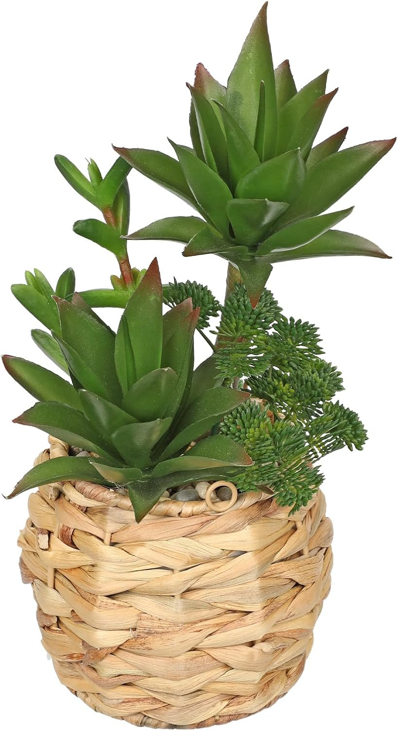 10″ Large Succulents Plants Artificial in Wooden Pots, Fake Succulents in Woven