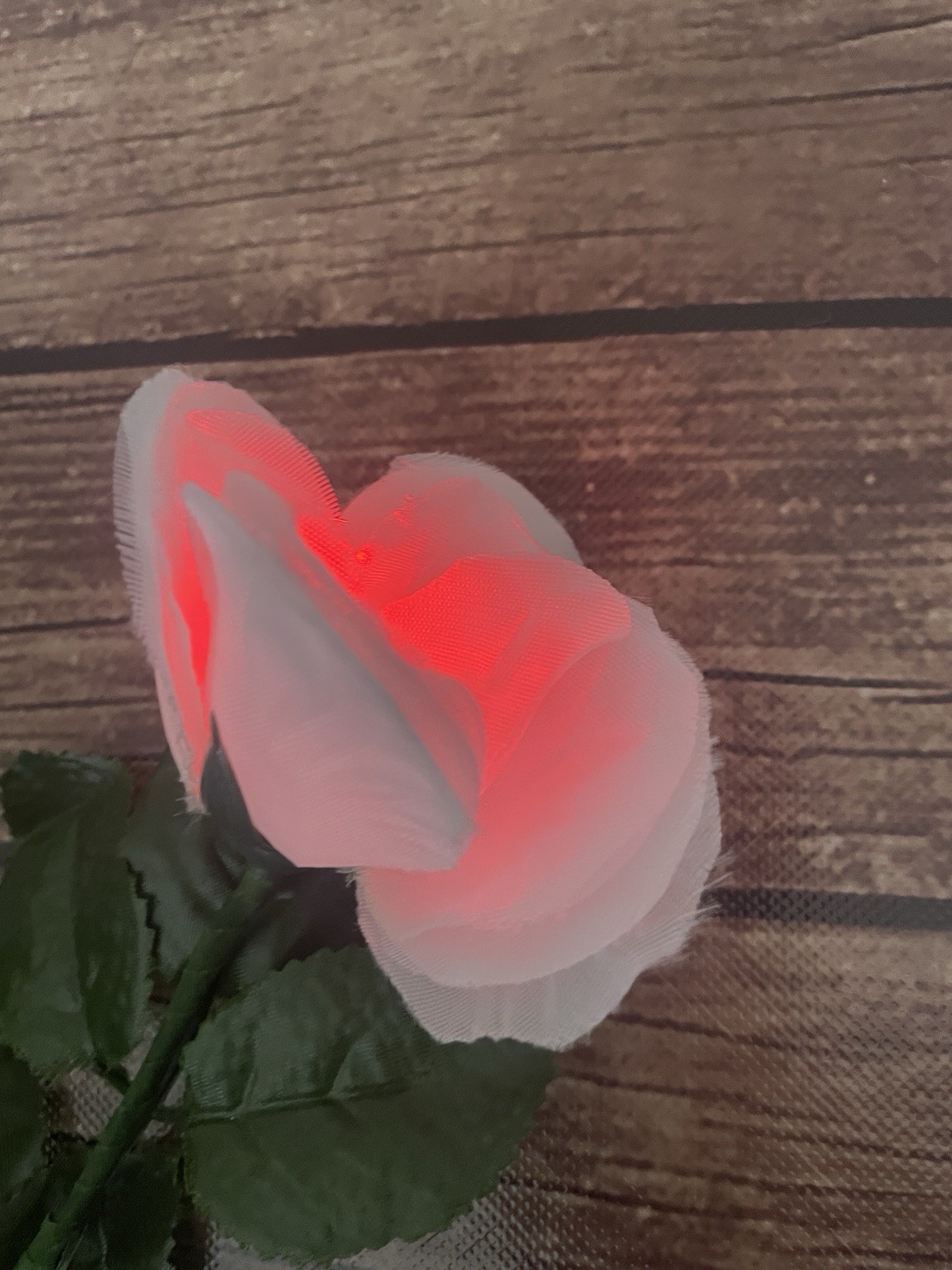 LED Light Up White Rose 16″