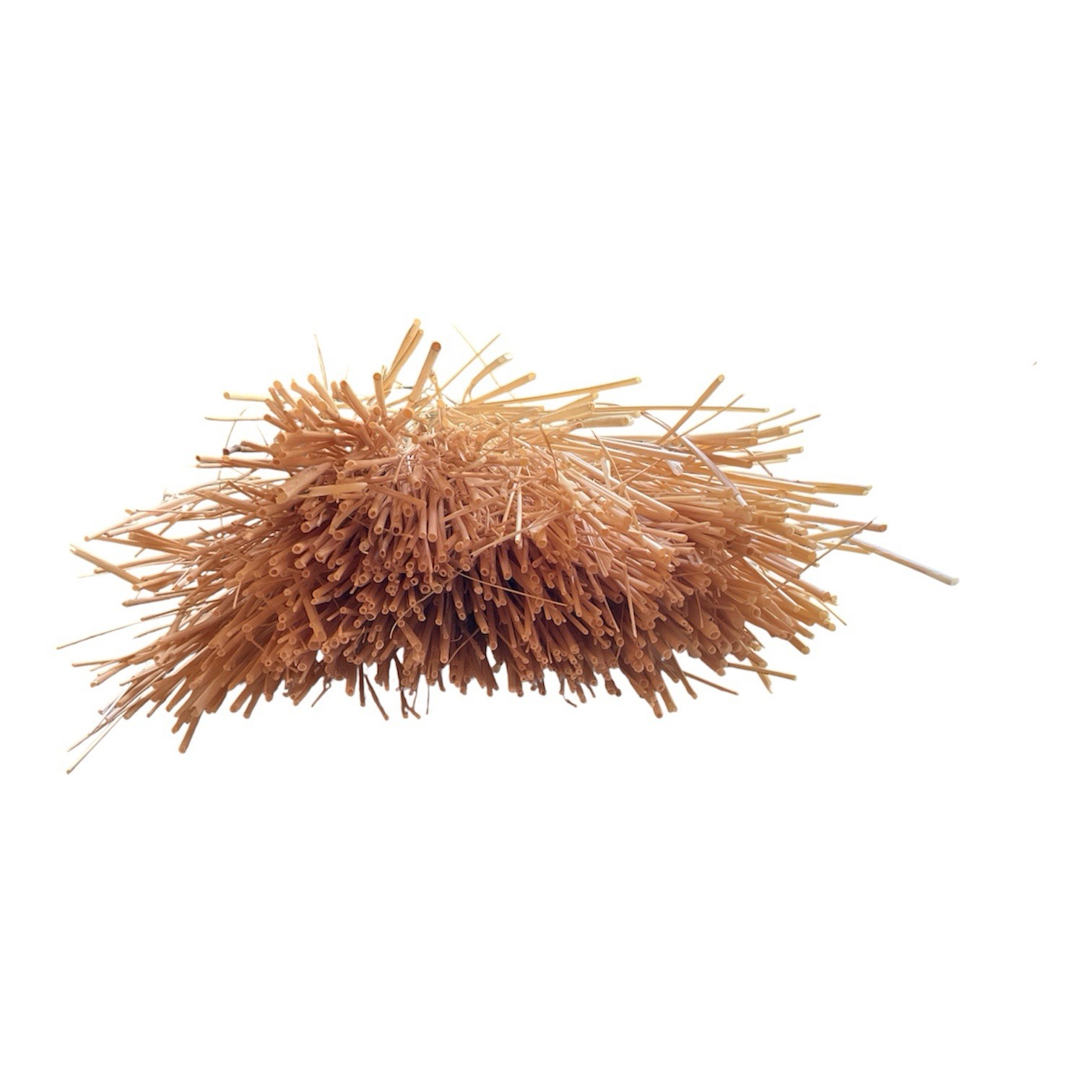 Dried Foxtail Grass Bundle: Rustic Floral Arrangement Supply in Natural Color