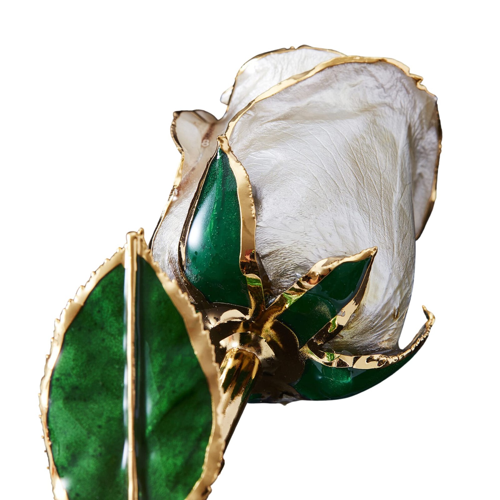 Pearl Collection – Real 24k Gold Dipped Rose – Gift for Her (Angel Dust)