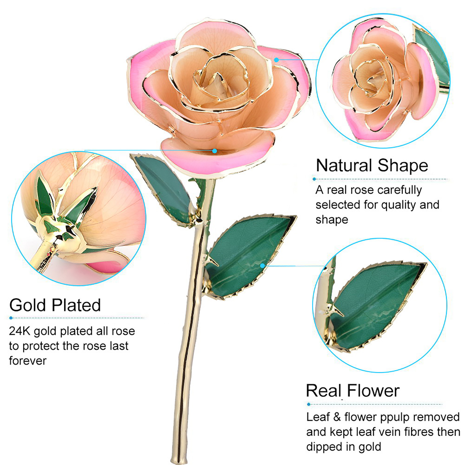 Pink White 24k Gift Gold Rose Forever Long Stem Dipped Rose Handcrafted Gift