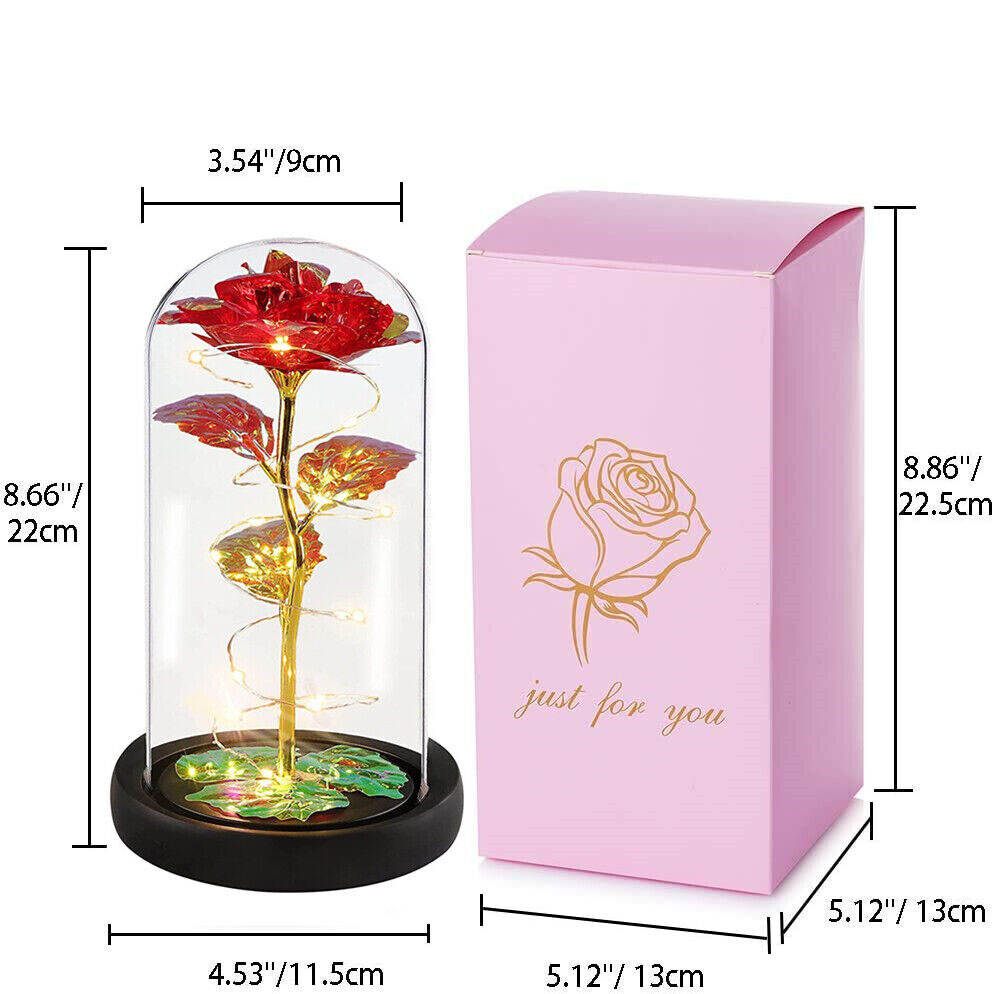 Enchanted Forever Rose Flower In Dome Glass LED Night Light Anniversaries Gift