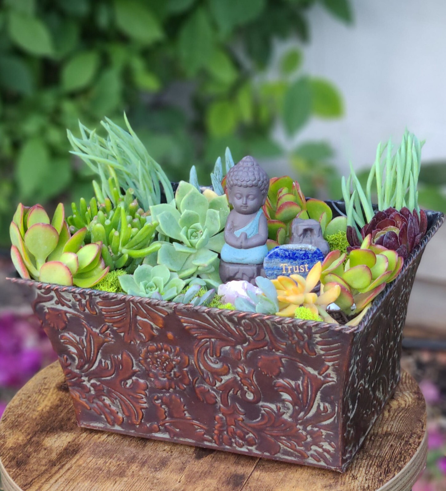 Mini Zen Garden with Natural Succulents + crystals for the Interior of the Home