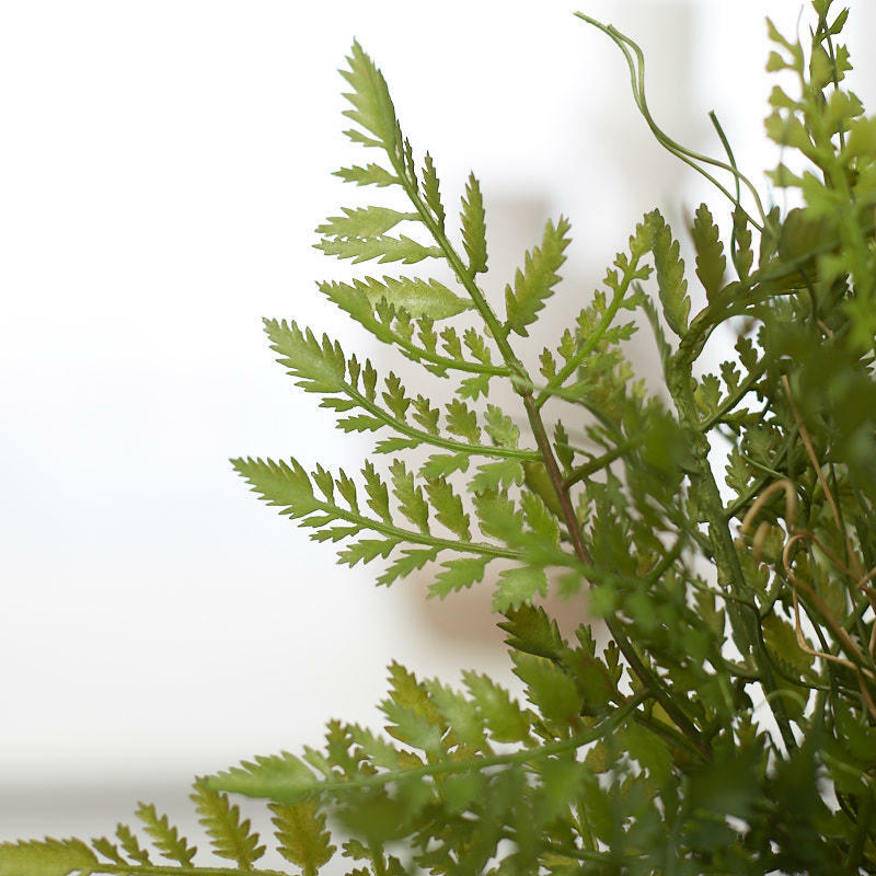 Factory Direct Craft Artificial Fern Bush