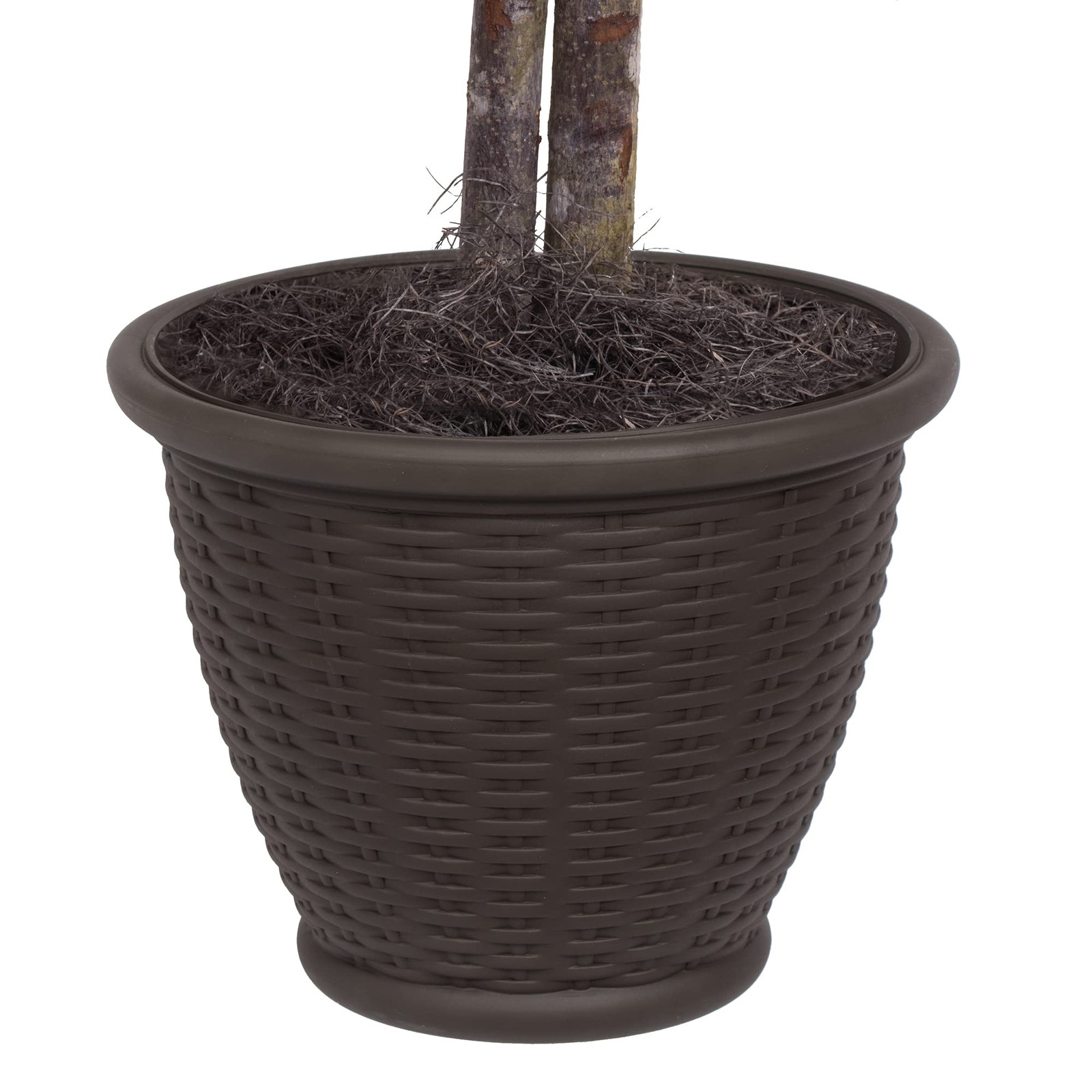 Vickerman 4′ Artificial Capensia Bush. Gray Square Plastic Container