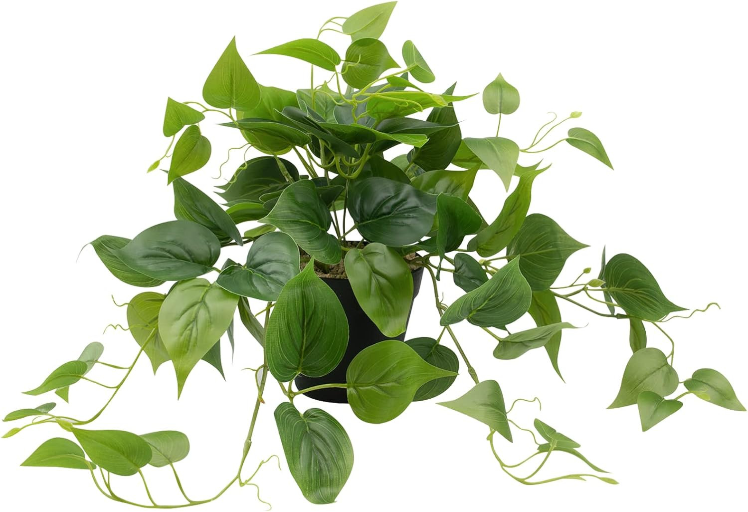 Artificial Scindapsus Aureus Fake Pothos Plants in Black Pots – Realistic Faux I