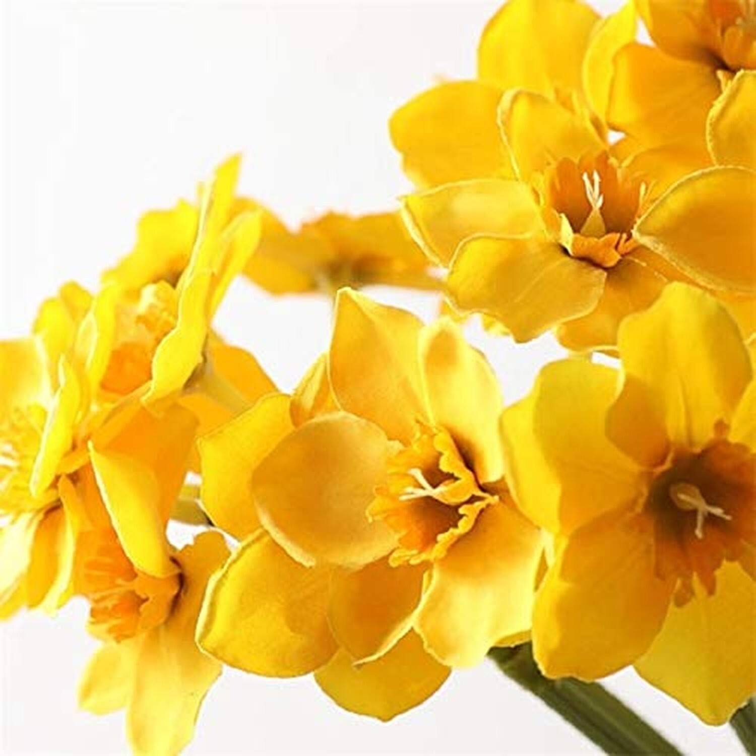Tinsow Artificial Daffodil Flowers 15.8 Inches Narcissus Spring Flower Fake S…