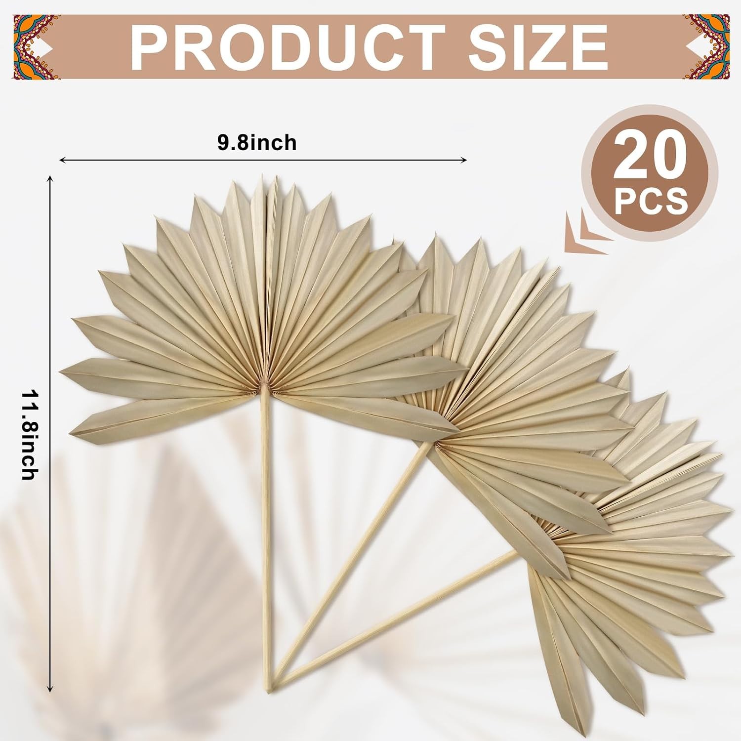 Natural Dried Palm Leaves Set of 20 – Ideal for Home Decor & Floral Arrangements