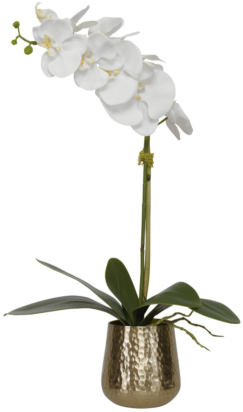 Uttermost 60189 Cami 14″W Artificial Orchid With Hammered Brass – Brass