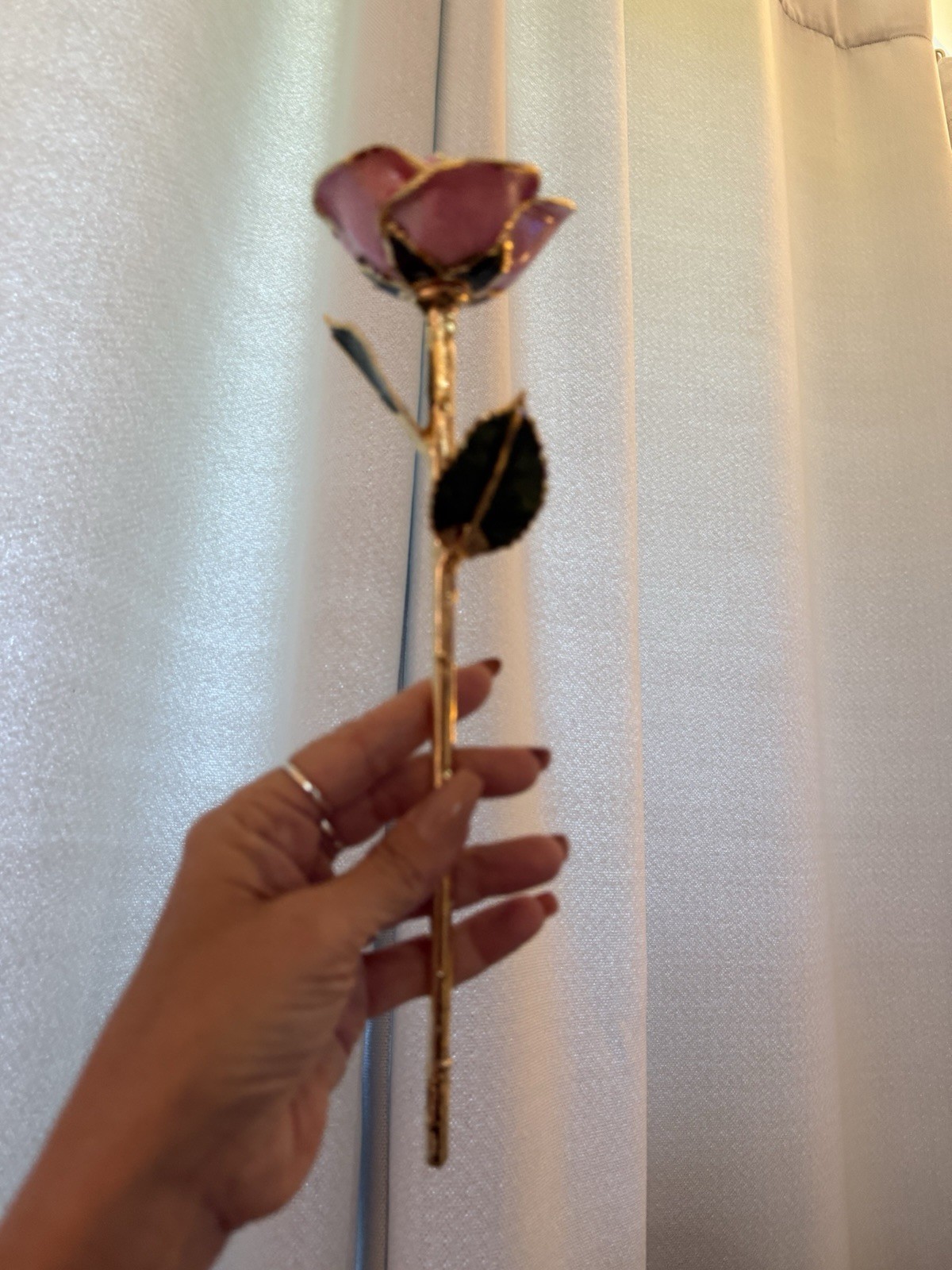 real rose dipped in 24k gold in Plum