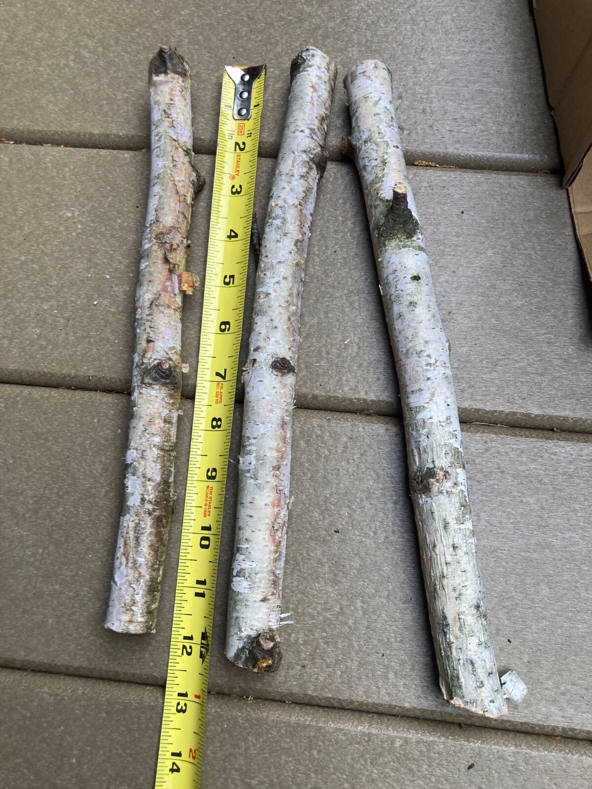 3 pc Natural Dried Tree Branch Birch Stick Flower Home Garden Party Floral Decor