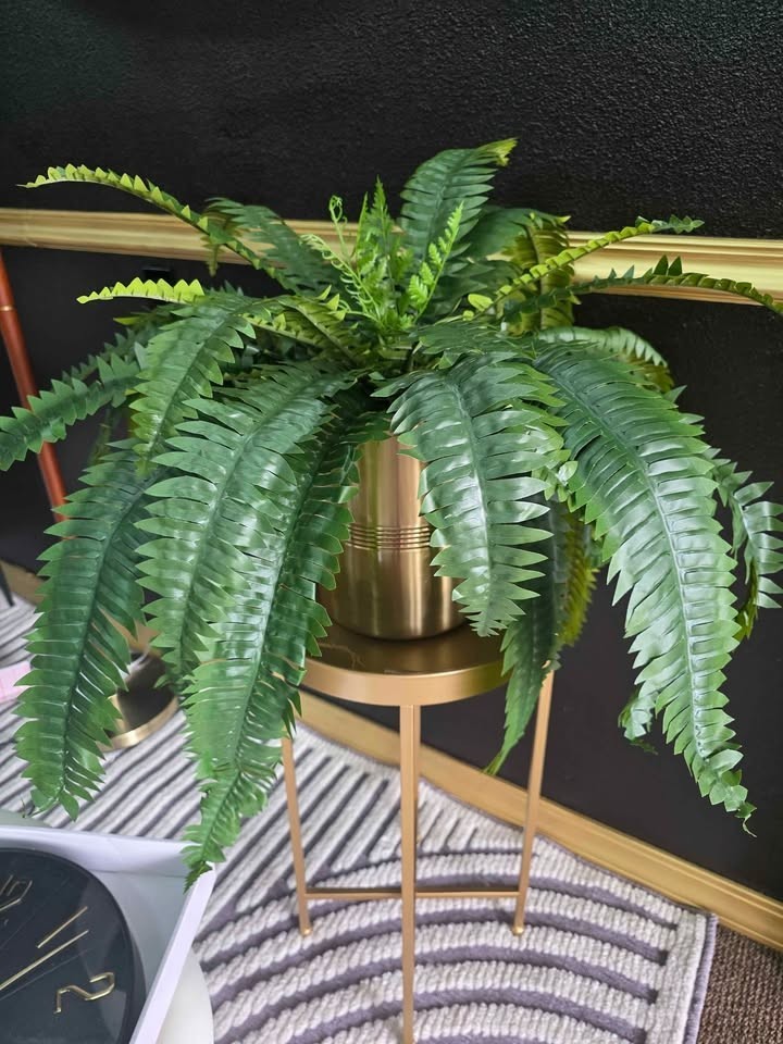 Nearly Natural 6051S2 Boston Fern Houseplant – Green (2 Piece)