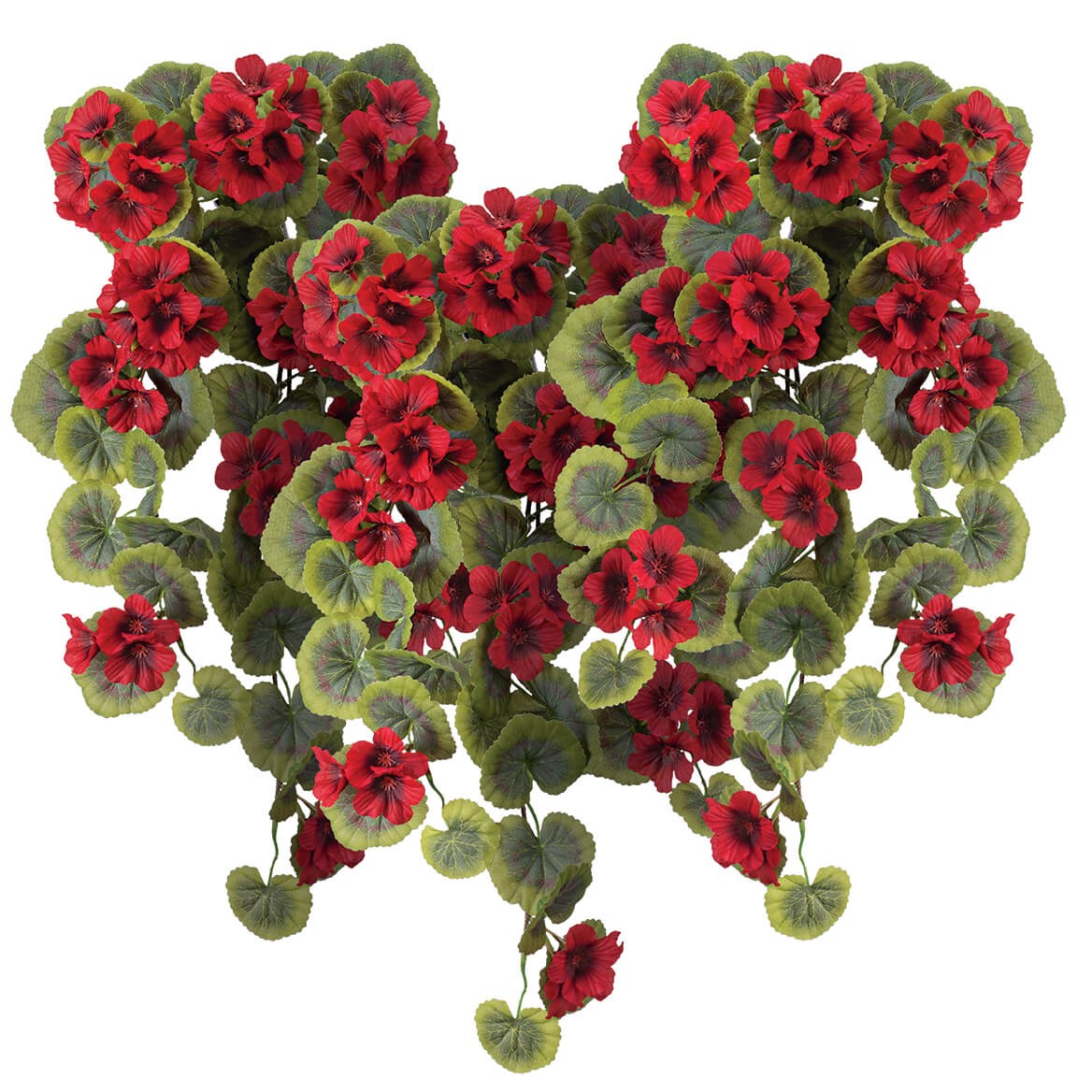OakRidge Red Geranium Hanging Stem Set of 3