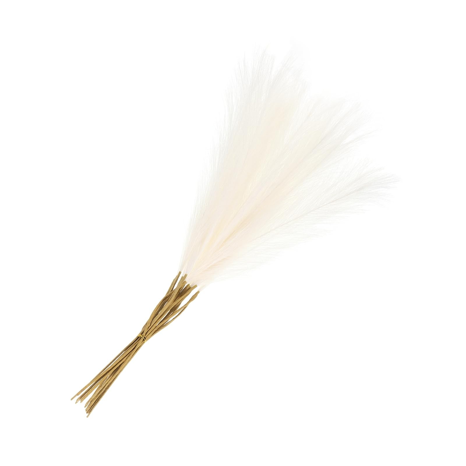 20 PCS Cream Faux Pampas Grass 21 inch Fake Stems for Living Room Decor