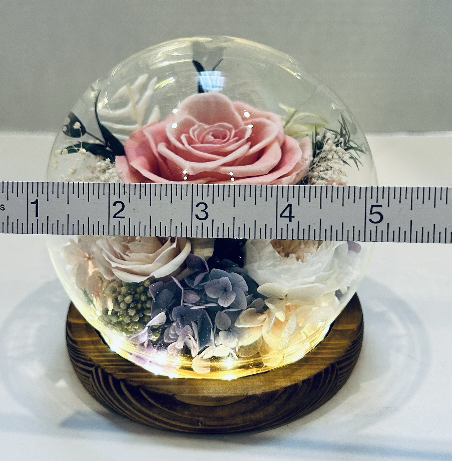 Preserved Flowers in Glass Dome with LED Light Forever Roses That Last