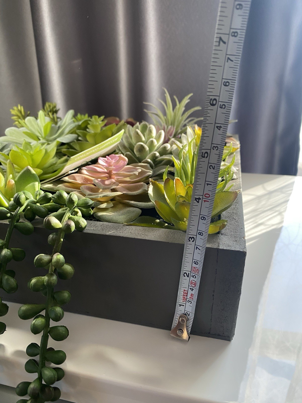 WALL OF FAUX SUCCULENTS in Gray Wood Box Decor Display 12x11x3 inches Art