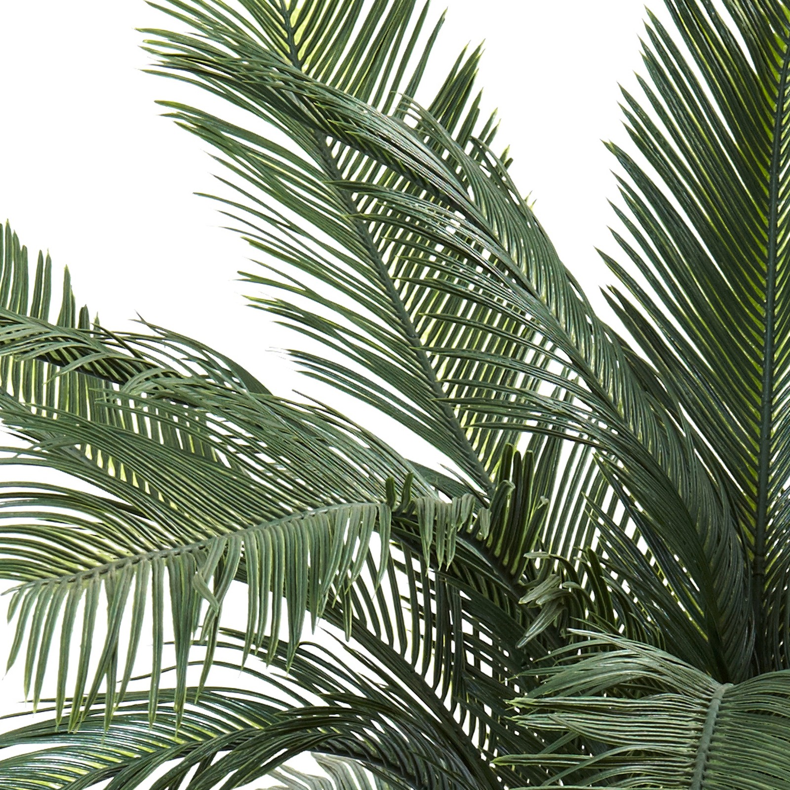 Nearly Natural 4ft Cycas Tree UV Resistant (Indoor/Outdoor) in Green