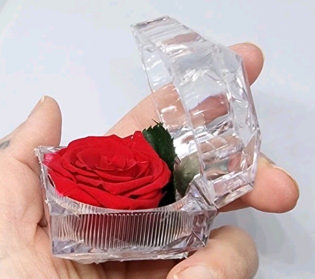 preserved Real red rose W Leaf In clear diamond shaped acrylic Ring box