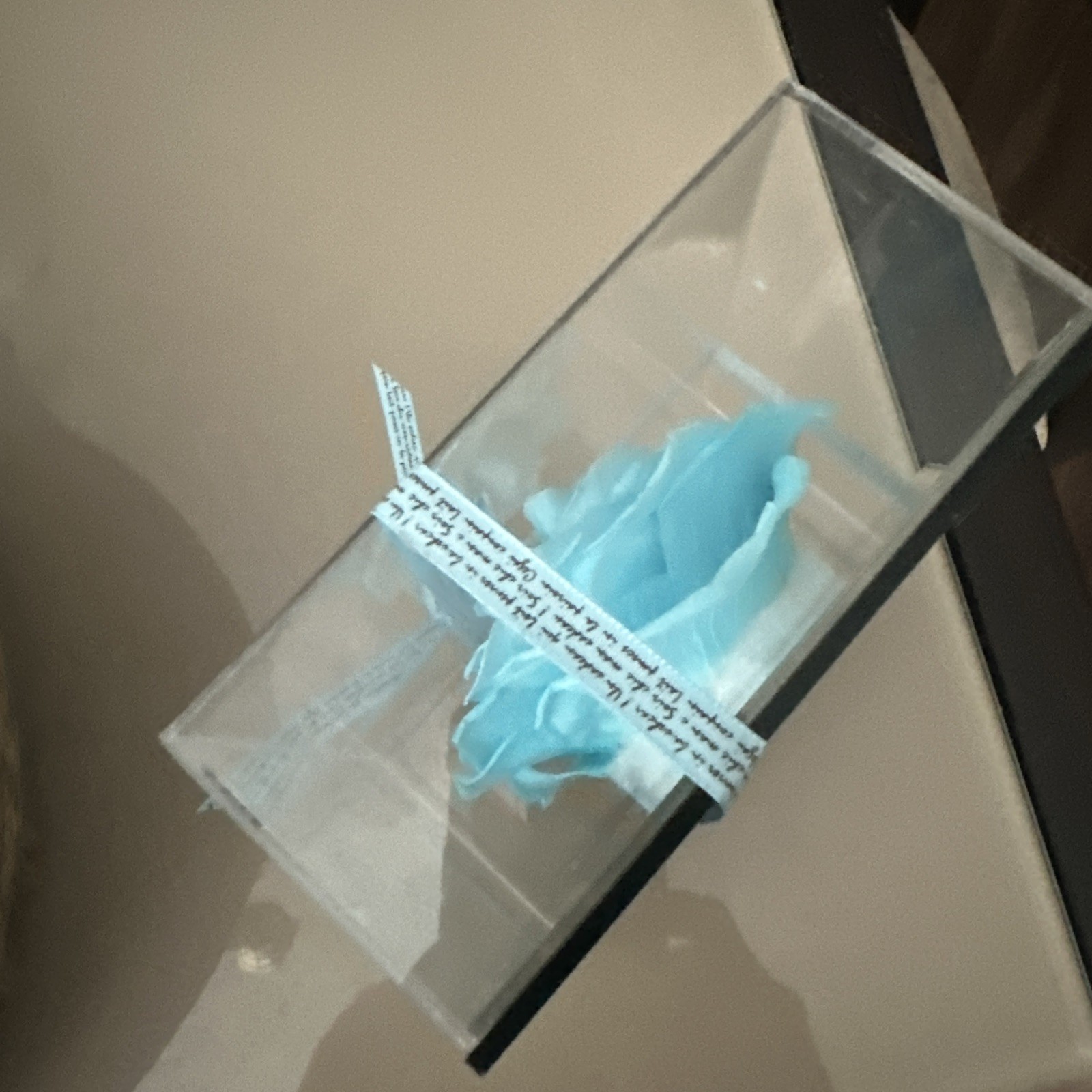 Eternal Rose Gift for Women, Preserved Real Forever Rose Flowers in Clear Case