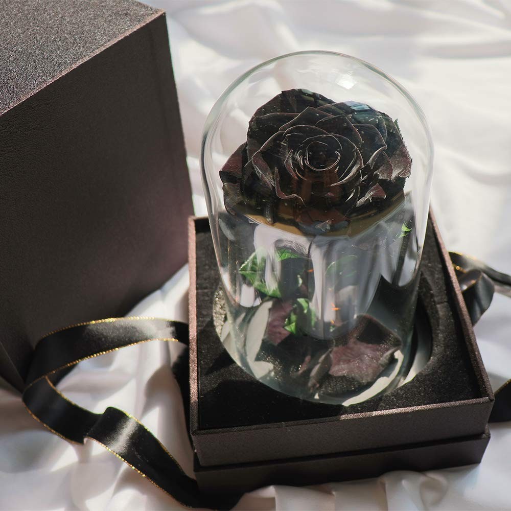 Preserved Roses Black Roses in Glass Dome, Medium, Preserved Flowers