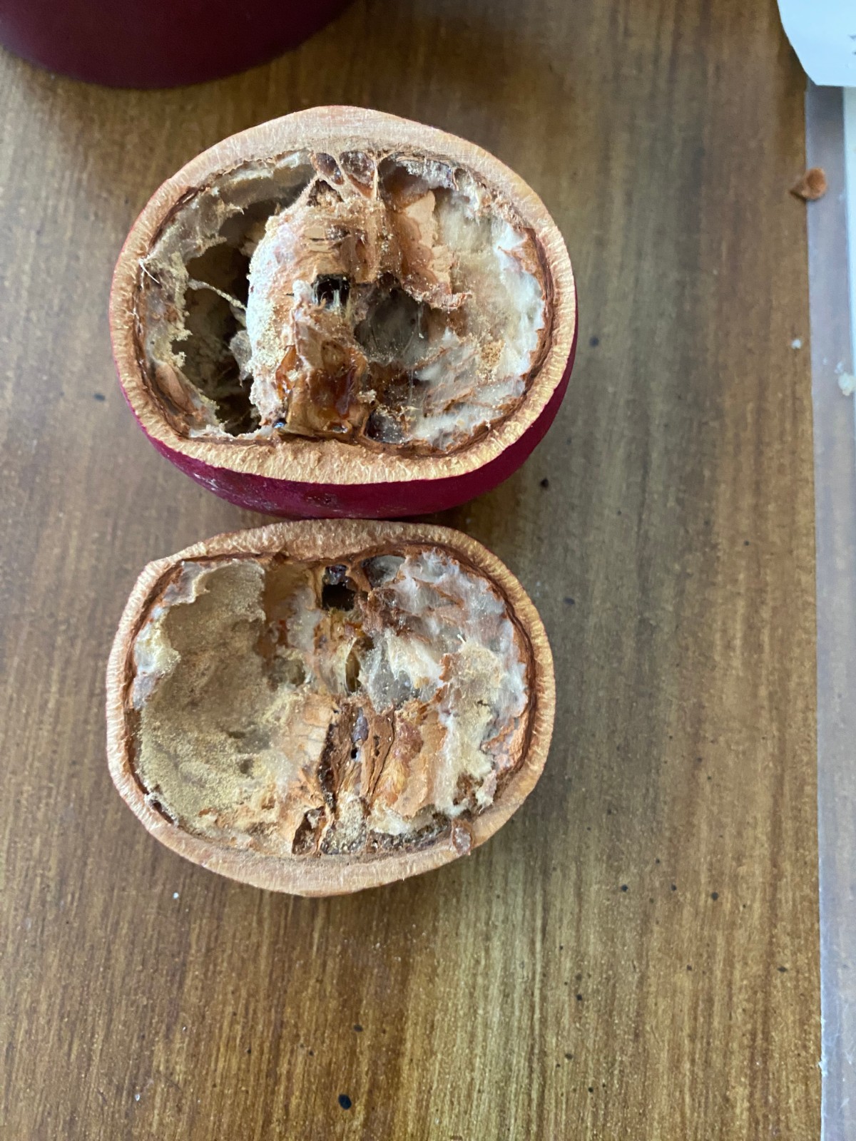 Pods -Dough Bowl Vase Filler Bengal Quince-Wood Apple Potpourri 5 Red Dyed Fruit