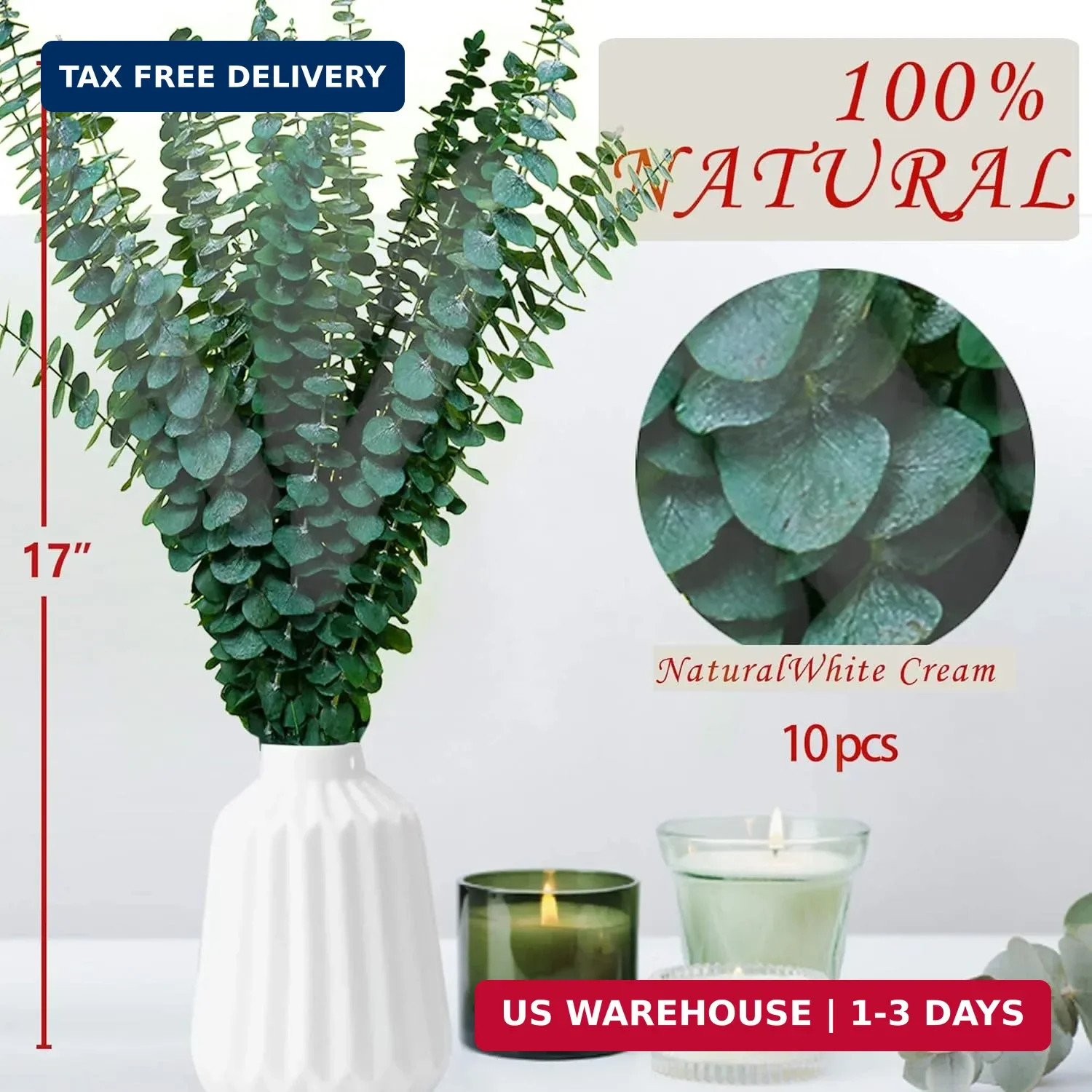 10Pcs Dried Eucalyptus Stems, 17″ Real Natural Hanging Eucalyptus for Shower, Ma