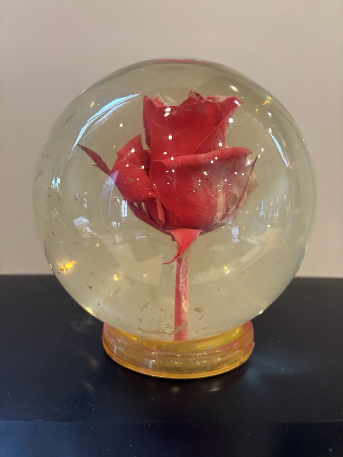 Vintage Preserved Real Rose in Glass Water Dome Globe