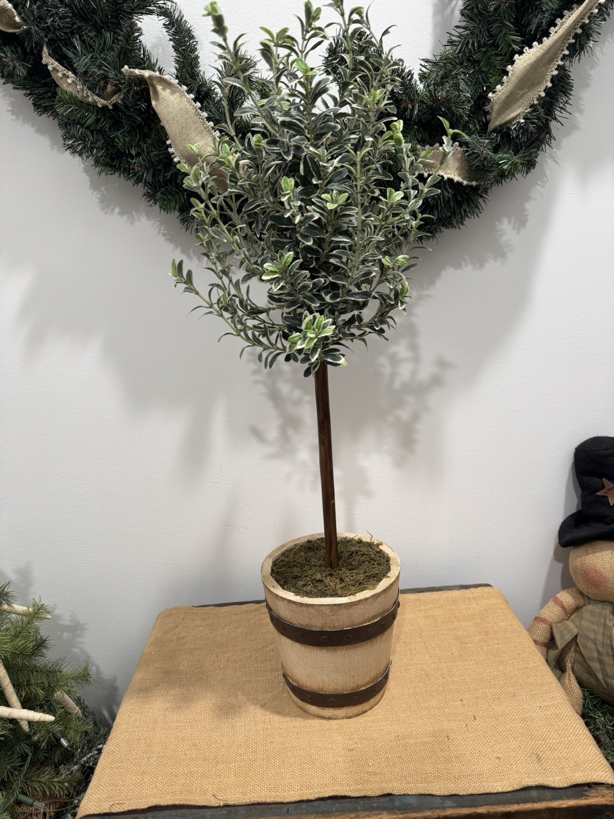 Olive Tree Topiary Tree