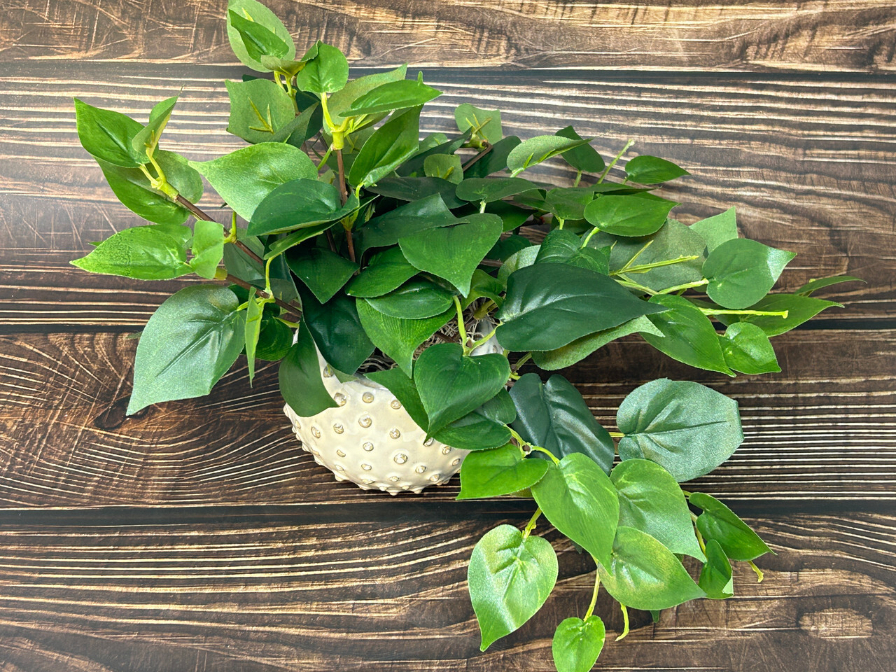 8″ Potted faux GREEN POTHOS Vine Silk plant, Cream Dot Ceramic pot