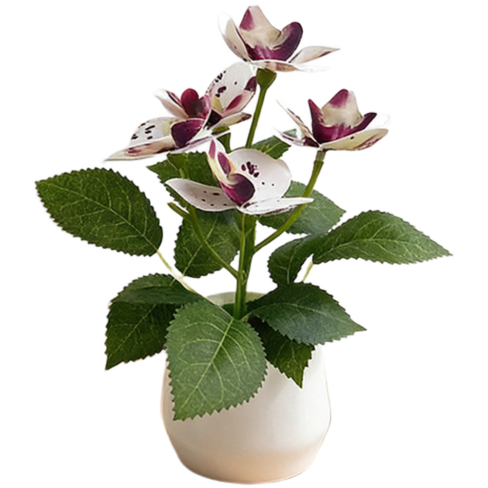 Potted Artificial Phalaenopsis Orchids 5 Piece Nordic Style Arrangement