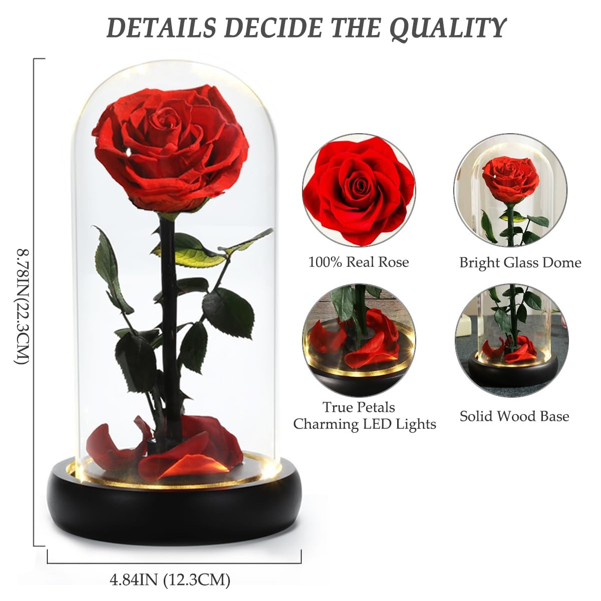 Mothers Day Rose Flower Gifts, Beauty and The Beast Rose Gifts for Women Wife…
