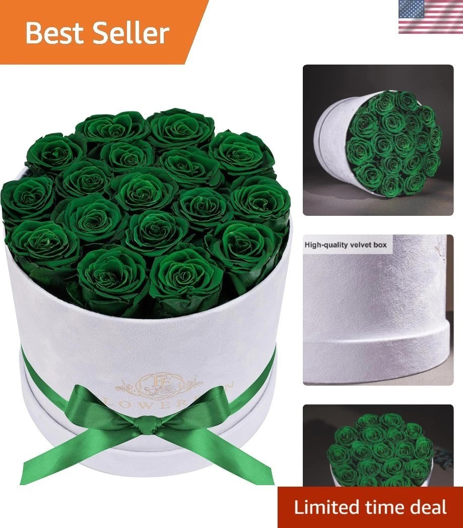 Handcrafted 17 Preserved Roses in Dark Green Suede Box – Effortless Elegance