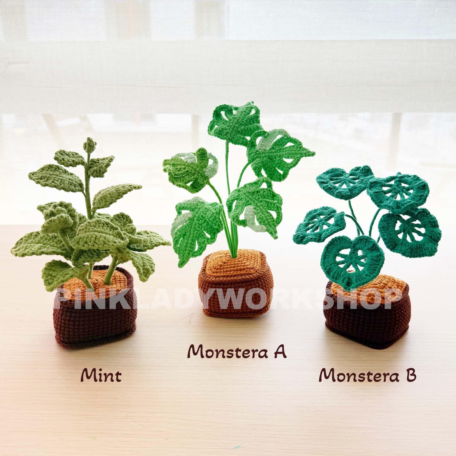 Handmade Crochet Plant: Monstera, Succulent, Fern