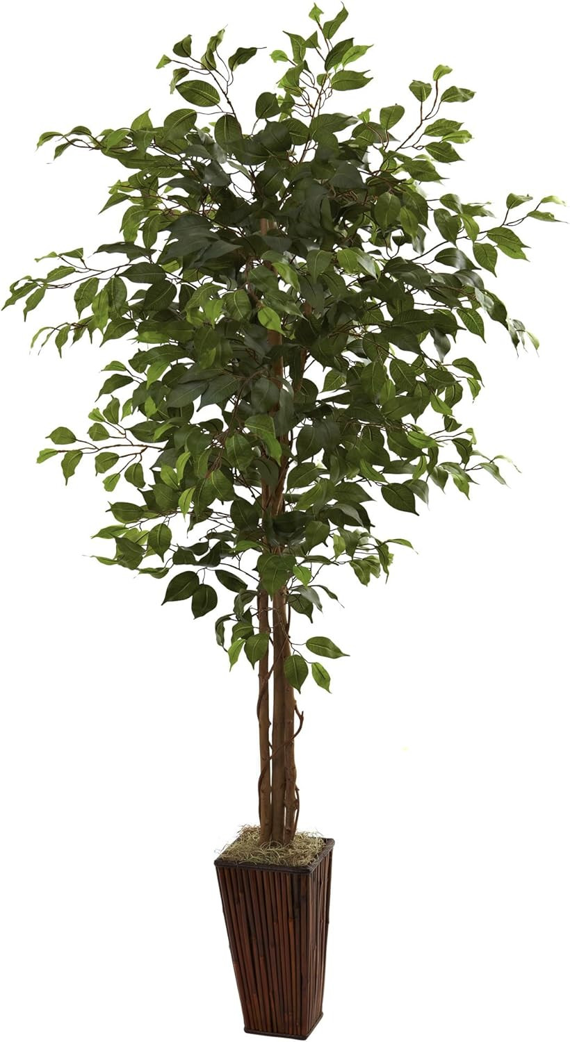 6Ft Ficus Tree in Bamboo Planter – Lush Green Home Decor Accent